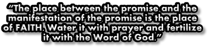 “The place between the promise and the manifestation of the promise is the place of FAITH. Water it with prayer and fertilize it with the Word of God.”